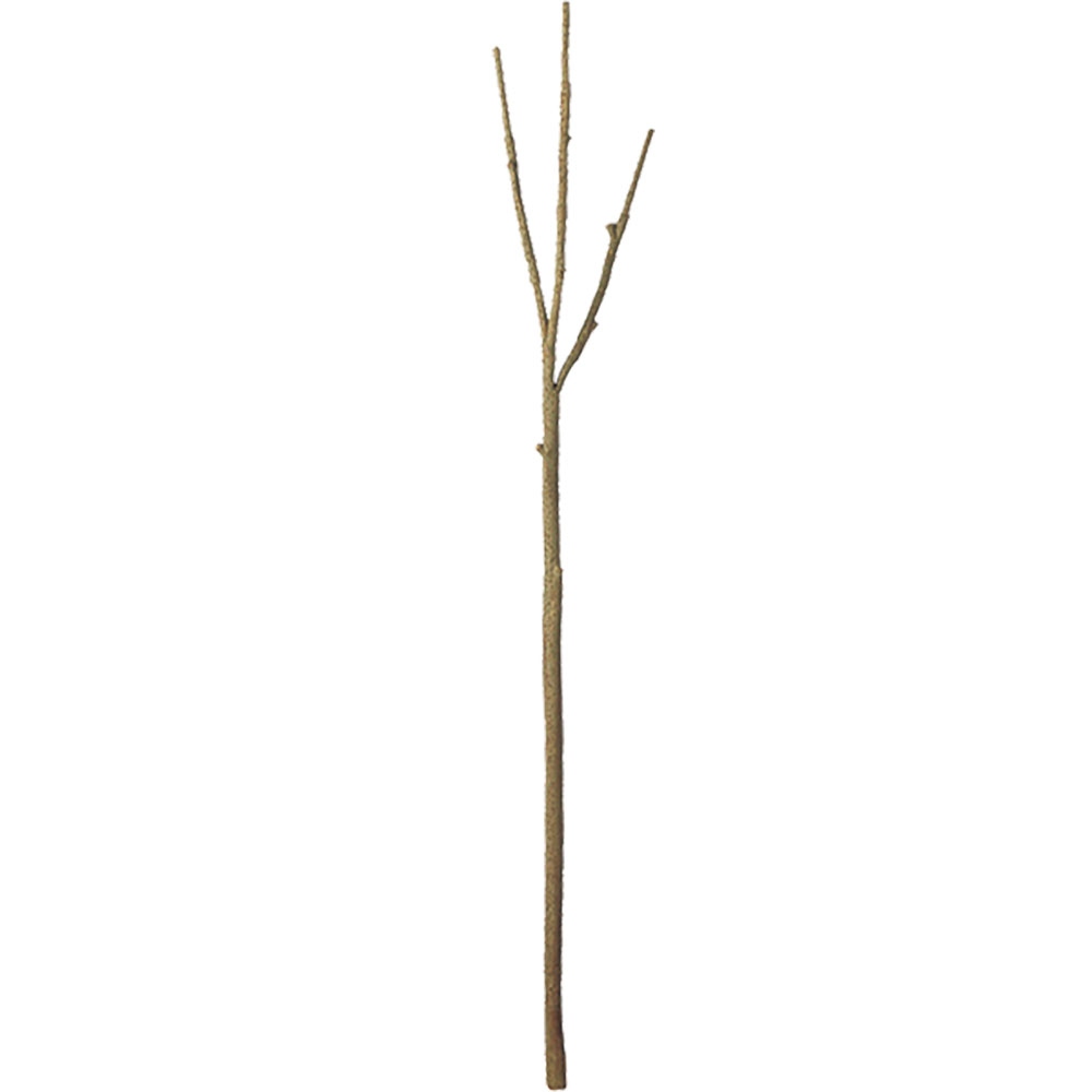 楽天市場】枝もの 枝物 大型 フェイクグリーン おしゃれ 人気