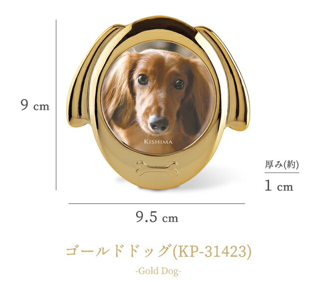 楽天市場】ペット フォトフレーム アニマル 動物 犬 猫 ココ Coco 写真