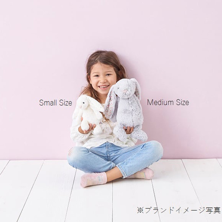 楽天市場】ジェリーキャット プリティパティスリーガトー チョコレート