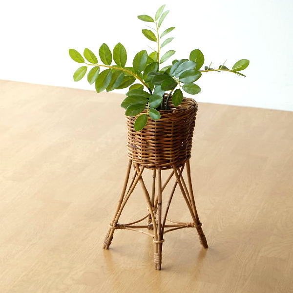 楽天市場】鉢カバー 観葉植物 植木鉢 かご バスケット おしゃれ 室内