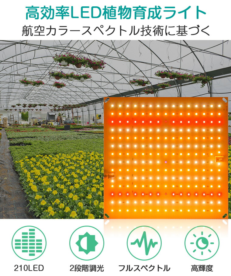 楽天市場】植物育成ライト LED フルスペクトル パネル 室内 太陽光 210