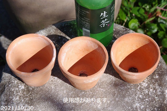 楽天市場】乾きの早い三河焼 素焼き鉢 2.5号 100個セット 旧トモエ製