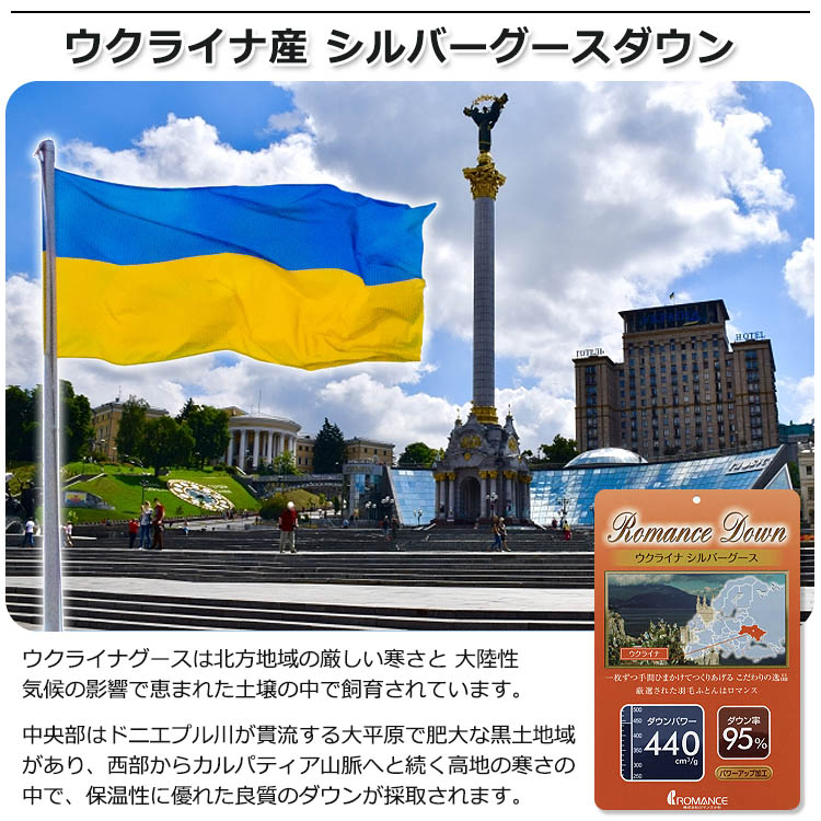 楽天市場】ロマンス小杉 羽毛布団 ウクライナ産シルバーグースダウン95