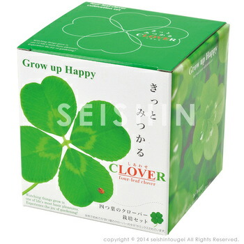 クローバー 種 四つ葉」の人気商品一覧 | 安い商品を通販サイトから