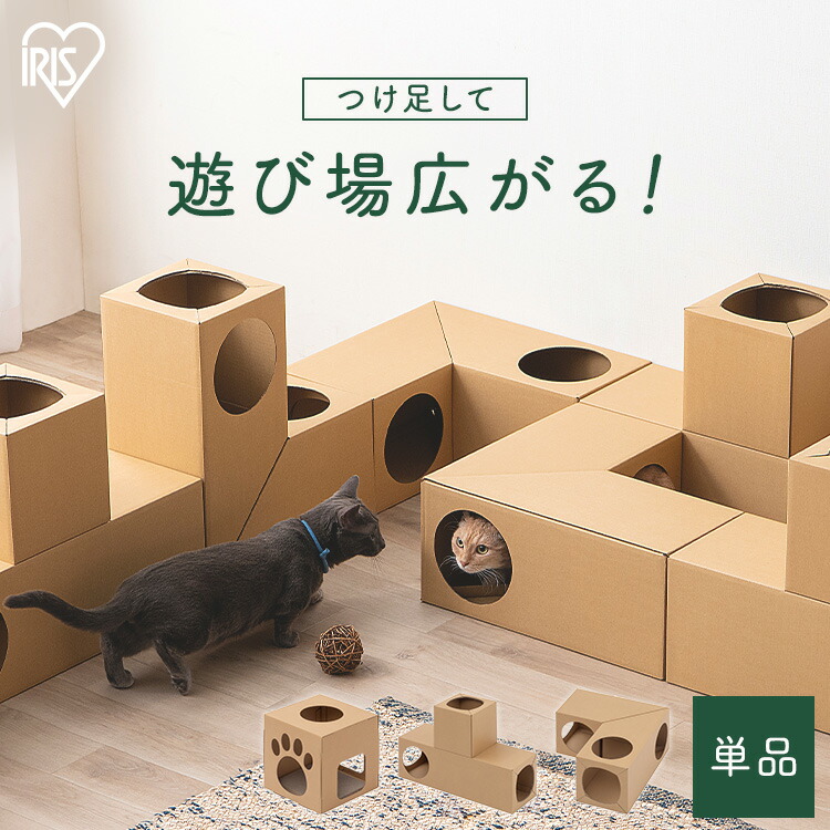 楽天市場】猫 爪とぎ トンネル おもちゃ 一人遊び 留守番 ストレス解消