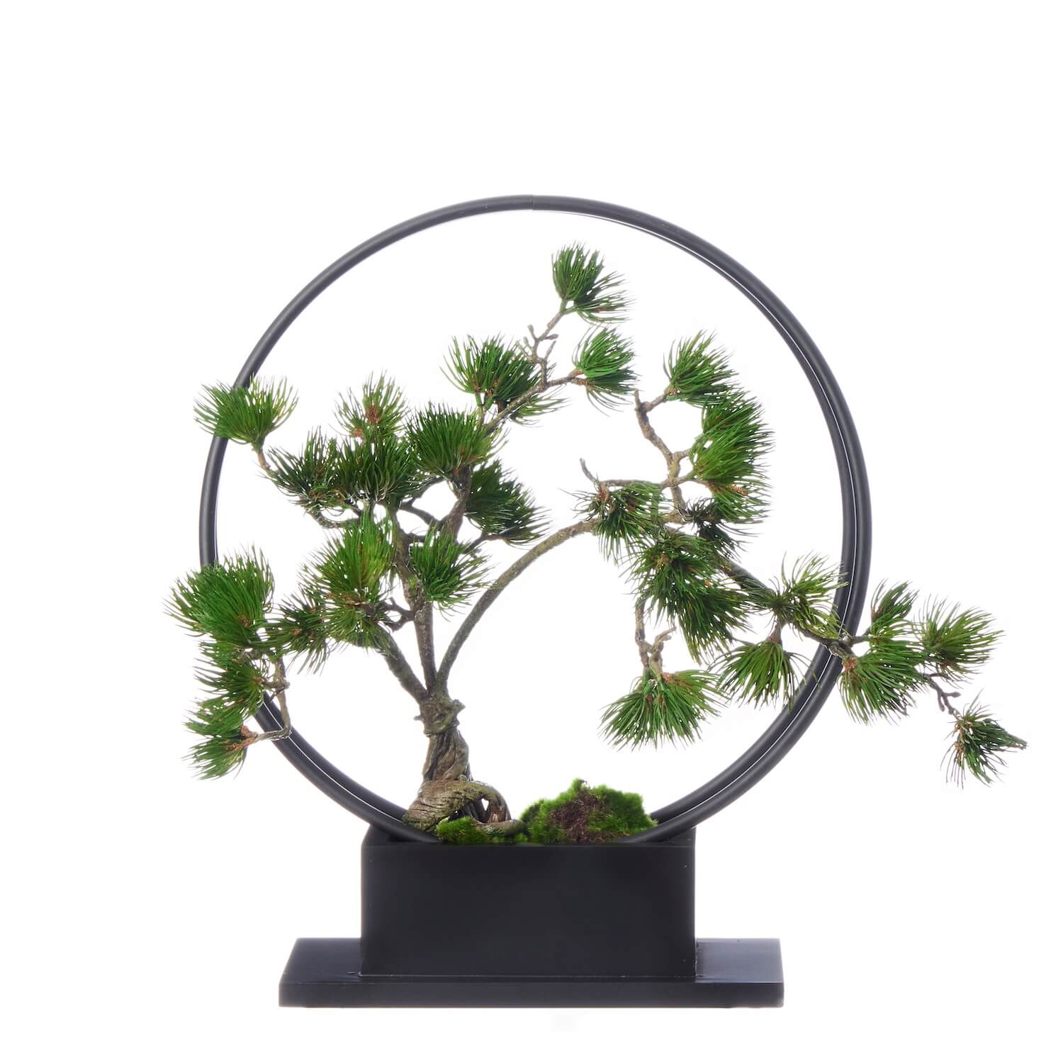 楽天市場】【ポイントUP】【公式】松 吹き流し 1本 リングベースL