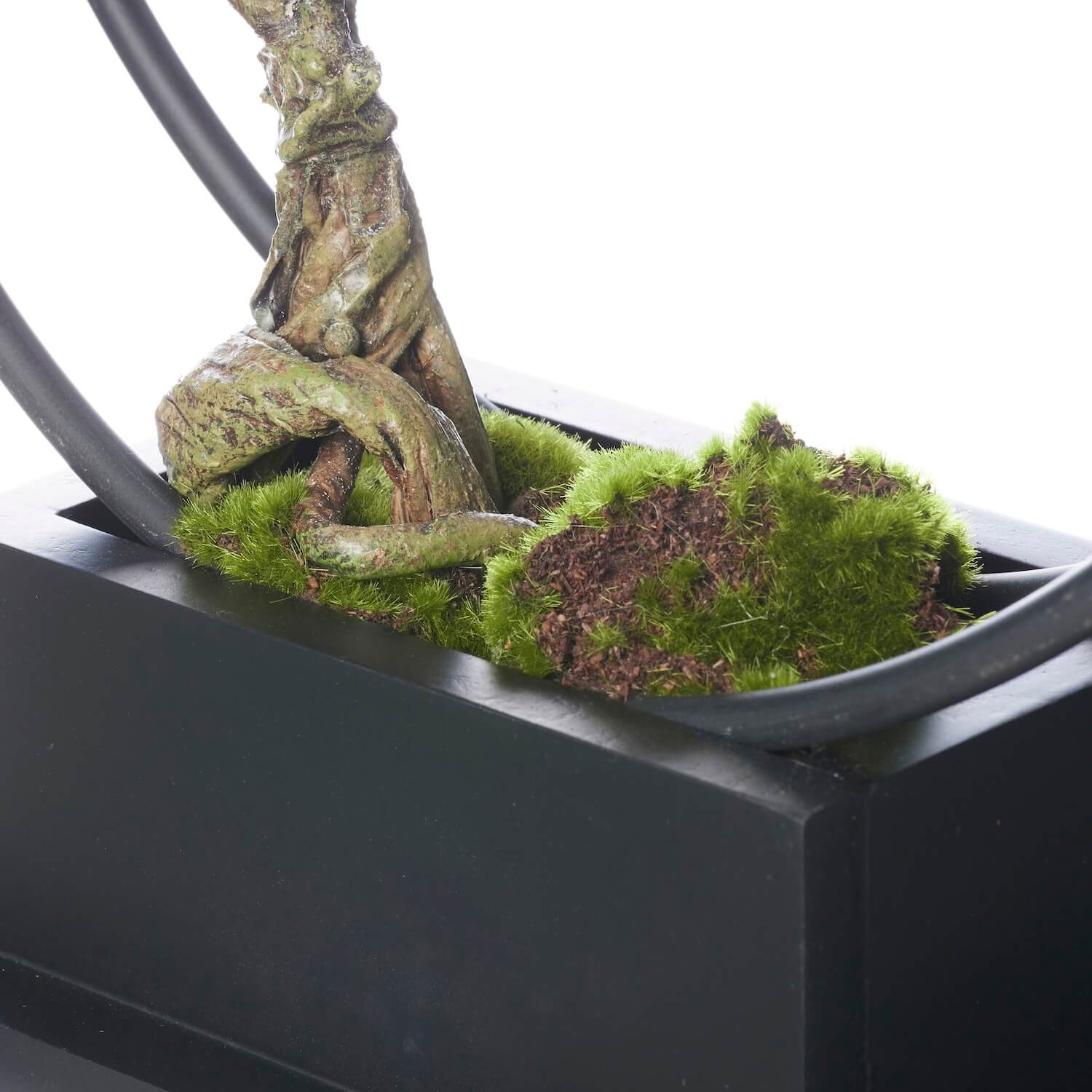 楽天市場】【ポイントUP】【公式】松 吹き流し 1本 リングベースL