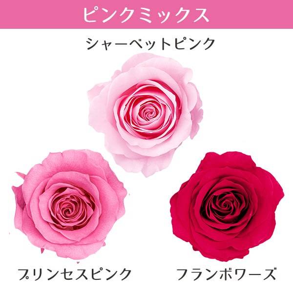 楽天市場】【P15倍中 2/24 9:59まで】 プリザーブドフラワー 花材