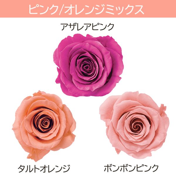 楽天市場】【P15倍中 2/24 9:59まで】 プリザーブドフラワー 花材