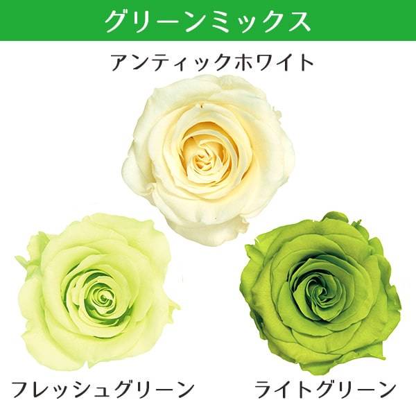 楽天市場】【P15倍中 2/24 9:59まで】 プリザーブドフラワー 花材