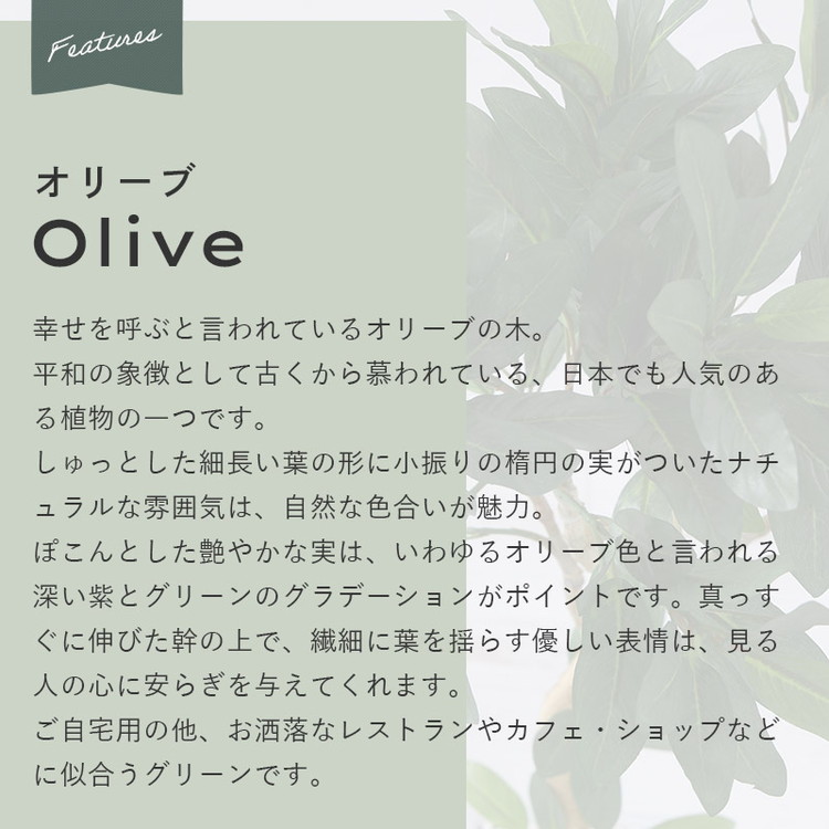 楽天市場】【半額OFFセール】フェイクグリーン 大型 抗菌 消臭 観葉