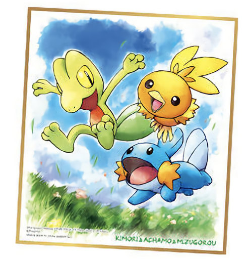 楽天市場】【1.キモリ＆アチャモ＆ミズゴロウ】 ポケモン 色紙ART 3