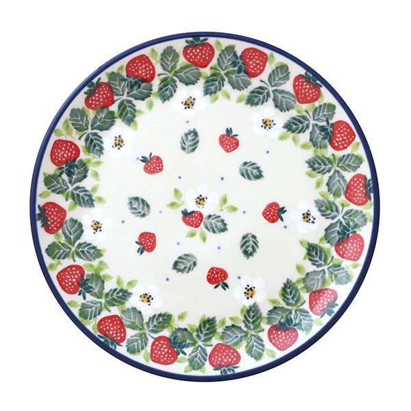 皿 ツェラミカ」の人気商品一覧 | 安い商品を通販サイトから探す