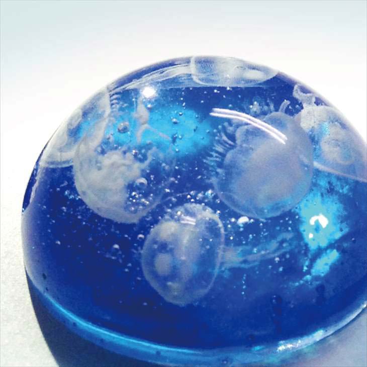 楽天市場】Resin club(レジンクラブ) 【レジン 封入 シール】埋め込み