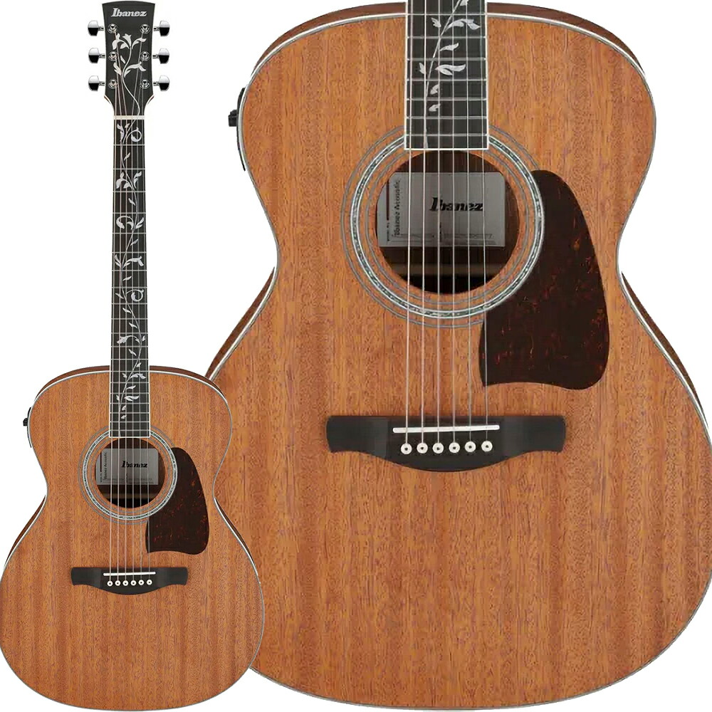 アイバニーズ Ibanez エレアコ」の人気商品一覧 | 安い商品を通販