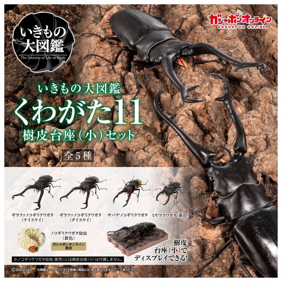 楽天市場】ねんどろいど アムネシア ウキョウ 「アクリルスタンド