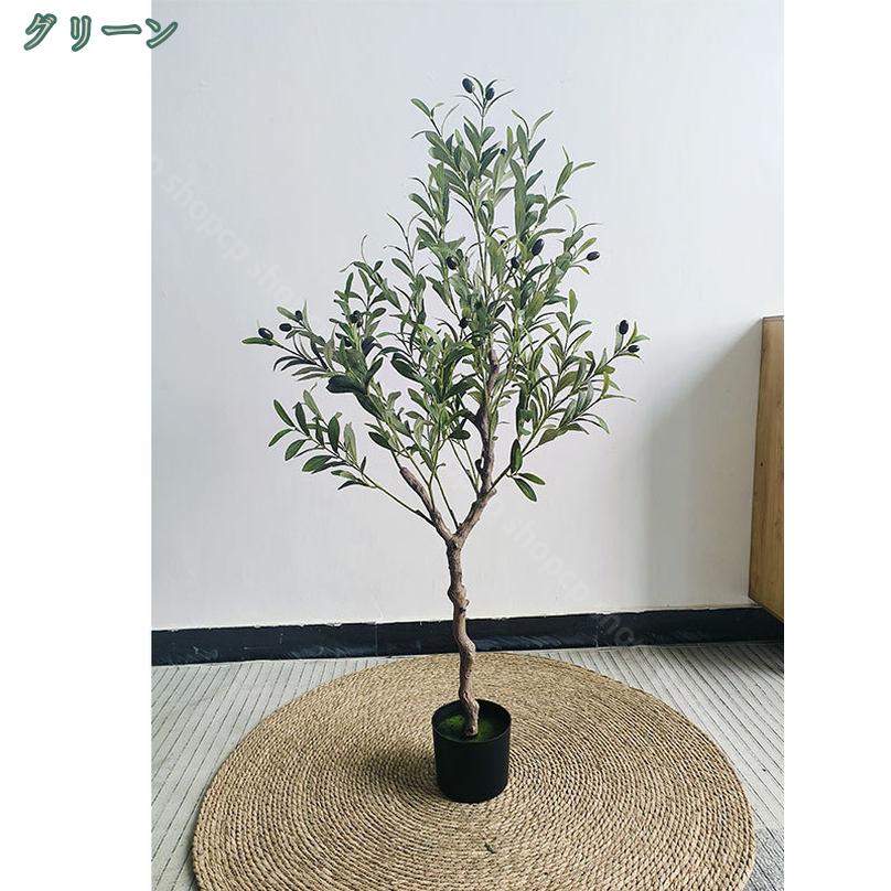 オリーブ 木 室内」の人気商品一覧 | 安い商品を通販サイトから探す
