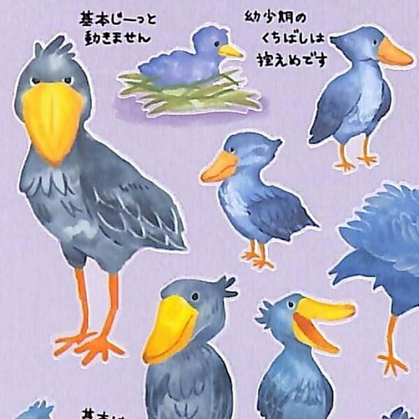 楽天市場】MINDWAVE ﾏｲﾝﾄﾞｳｪｲﾌﾞ ｼｰﾙ ・ 79800 ﾊｼﾋﾞﾛｺｳ ｼｰﾙ帳 福袋 丸