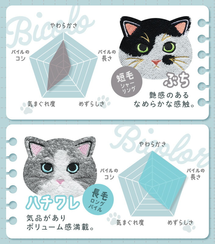 楽天市場】今治タオル ロングフェイスタオル うちのニャンコ 毛並み