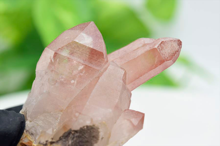 楽天市場】◇限定◇ ピンクレムリアン 非研磨 レムリアンシード