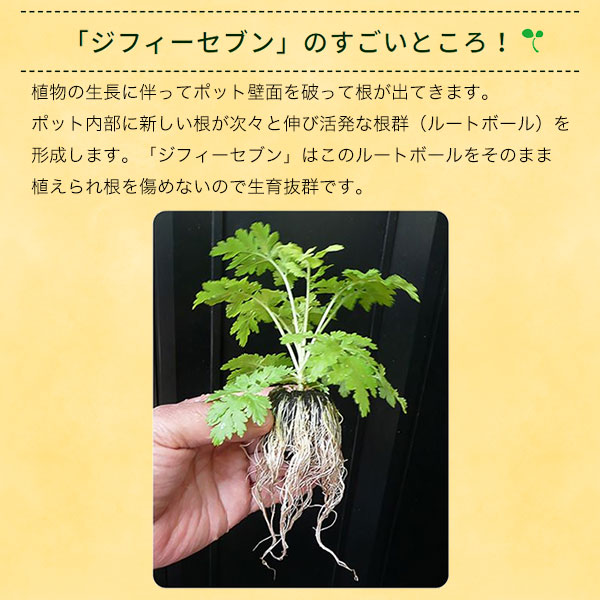 楽天市場】そのまま植えられる土ポット ジフィーセブン 直径42mm 48個