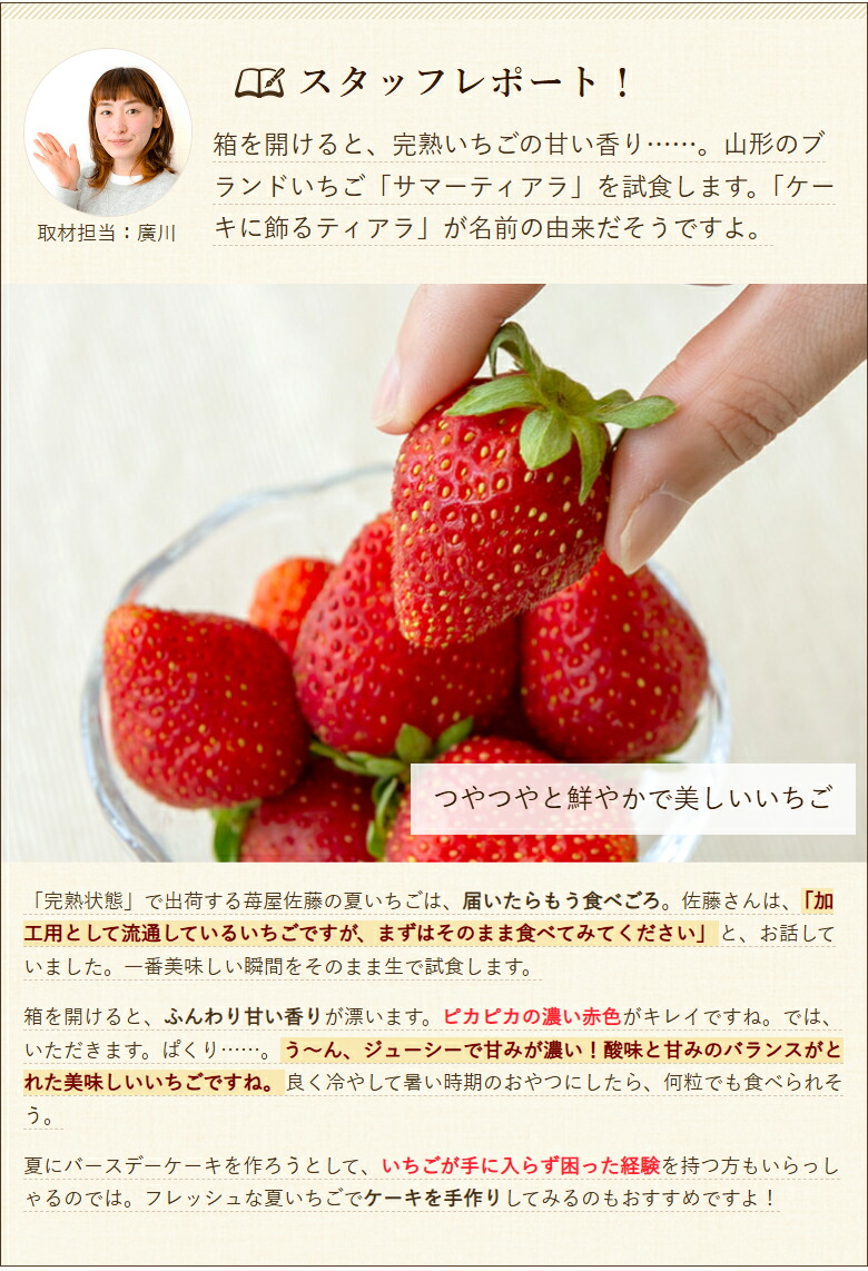 楽天市場】山形県産 いちご すずあかね 600g（40〜60粒）苺屋佐藤 苺