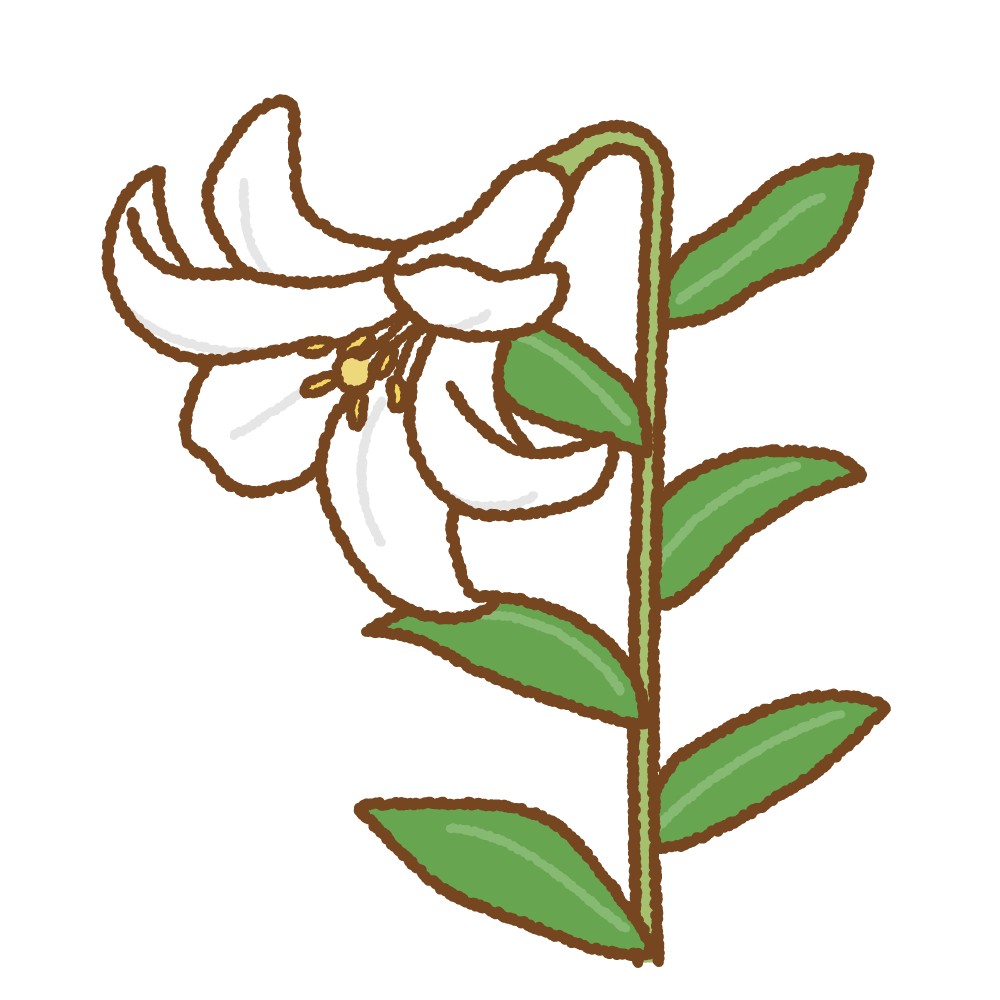 ユリのイラスト | 商用OKの無料イラスト素材サイト ツカッテ