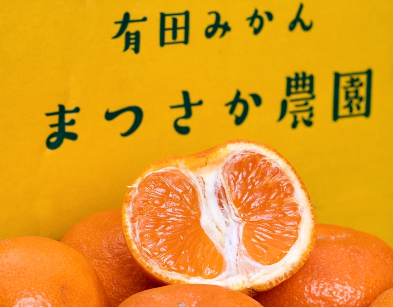 まつさか農園『樹上熟成 灯みかん（品種：ゆら早生）』和歌山県産 秀 S