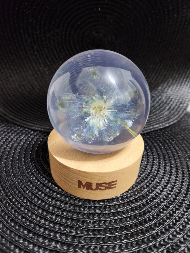 Buy BTS Jimin MUSE Paper Weight at affordable prices — free