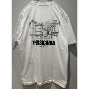 ペルシカリア | UKFC ONLINE SHOP