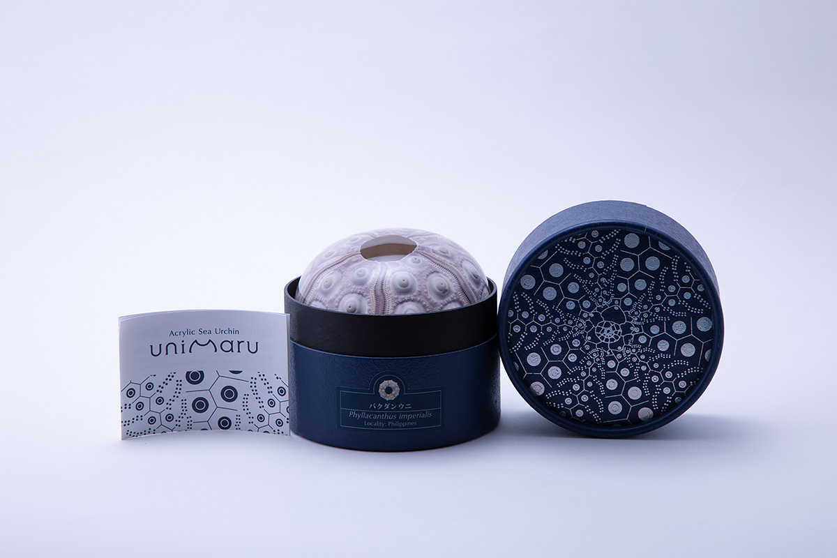 Unimaru / Concept – 株式会社ウサギノネドコ