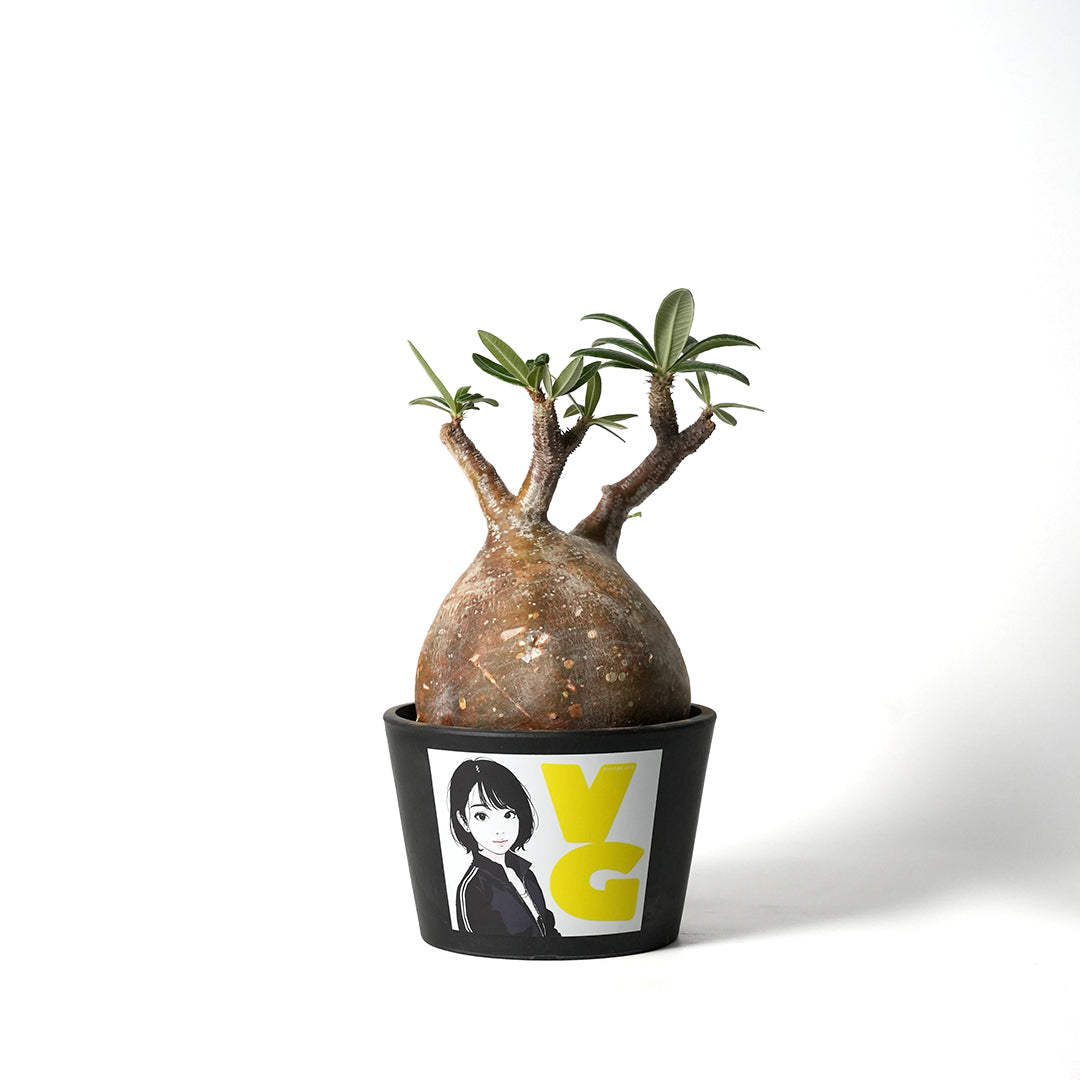 Backside works. – VALIANT GALLERY ONLINE