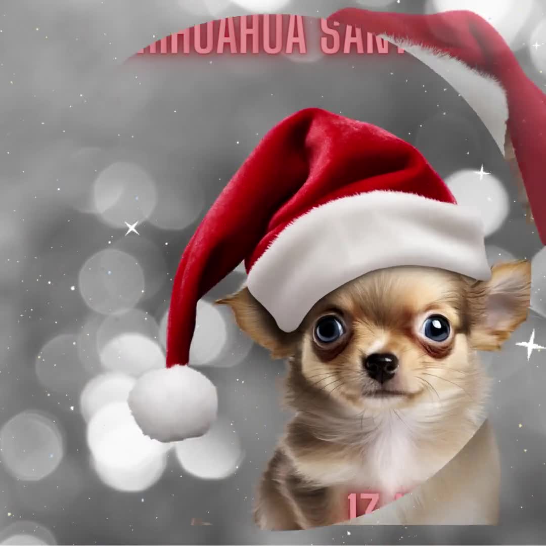 チワワ チワウェノ 赤いサンタ帽子 クリスマス グラフィック 犬 ママ