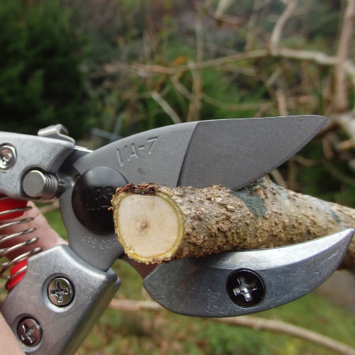 アンビル剪定鋏ブイエーセブン VA-7Z｜アルス《公式》園芸刃物ショップ