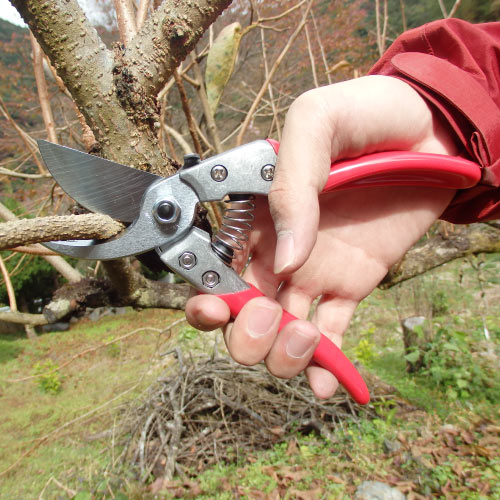 剪定鋏ブイエスエイト VS-8Z｜アルス《公式》園芸刃物ショップ