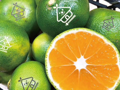 una casita｜フロアガイド｜アリオ鷲宮