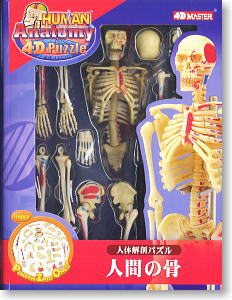 人体解剖パズル 人間の骨 (完成品) - ホビーサーチ フィギュア