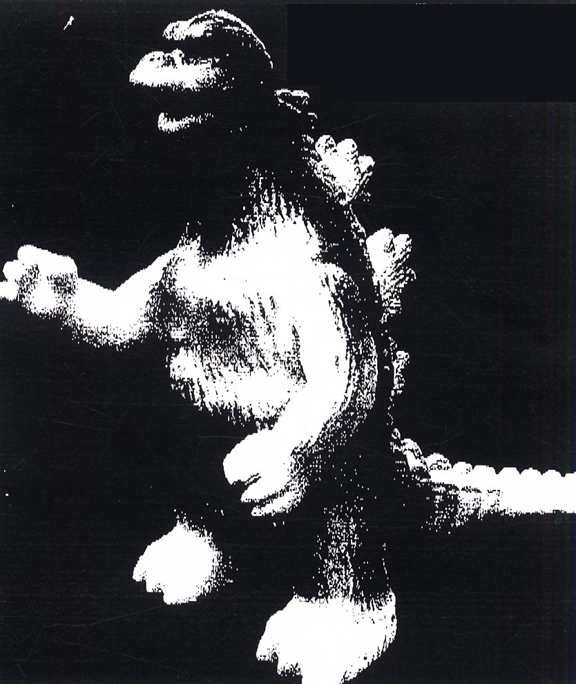 ジャンボ ゴジラ (蓄光・緑) (完成品) - ホビーサーチ ロボット・特撮