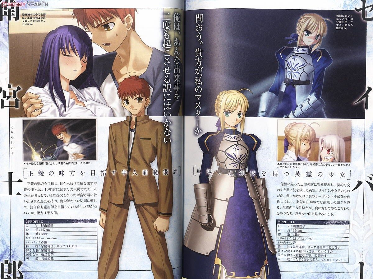 Fate/stay night [Realta Nua] 公式攻略ガイド 改訂版 (画集・設定資料