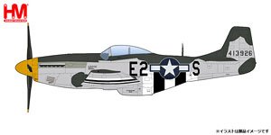 MiG-25P フォックスバット `ヴィクトル・ベレンコ防空軍中尉` (完成品