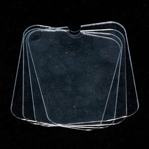 パッケージキーホルダー[ゆずソフトC] (5個セット) (キャラクター