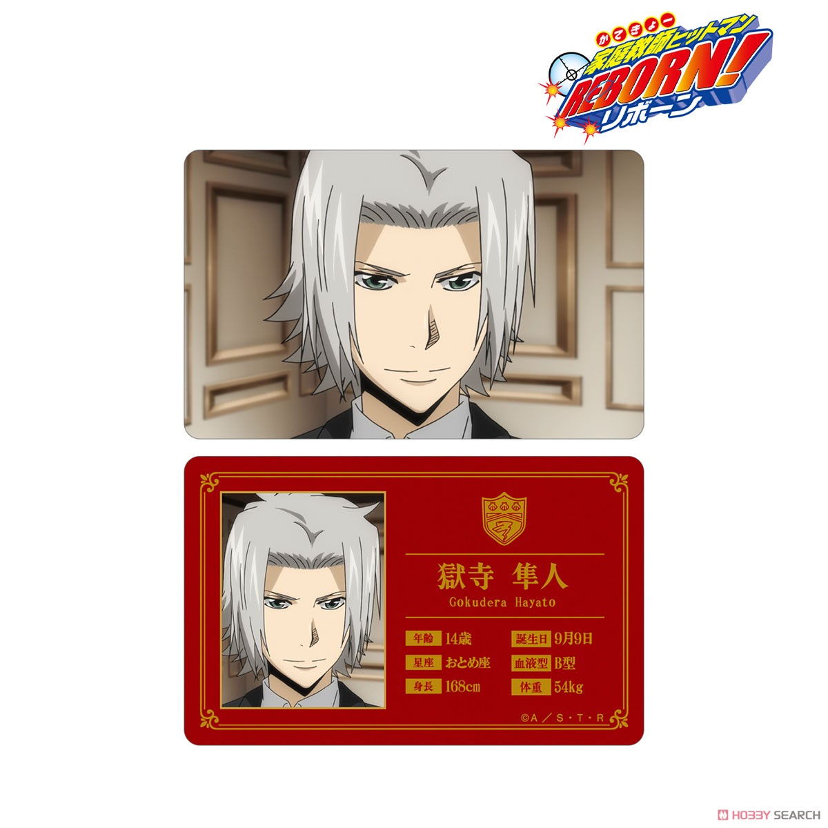 ☆特価品 家庭教師ヒットマンREBORN！ 獄寺隼人 ビジュアルカード