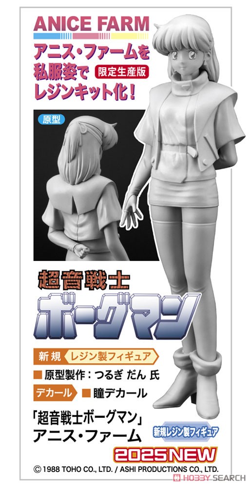 ☆特価品 「超音戦士ボーグマン」 アニス・ファーム (プラモデル