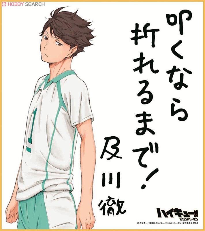 ハイキュー!! ビジュアル色紙コレクション 2 16個セット (キャラクター