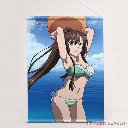 ストライク・ザ・ブラッド B2タペストリー (紗矢華/水着