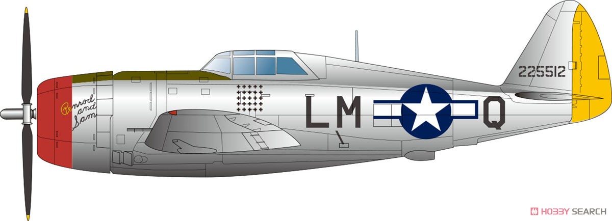 アメリカ陸軍戦闘機 P-47D サンダーボルト NEW レザーバック `ゼムケズ