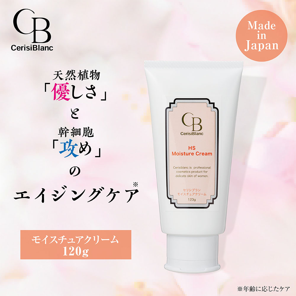 11B-90070 セリシブラン(業)HSモイスチュアクリーム120g | 株式会社