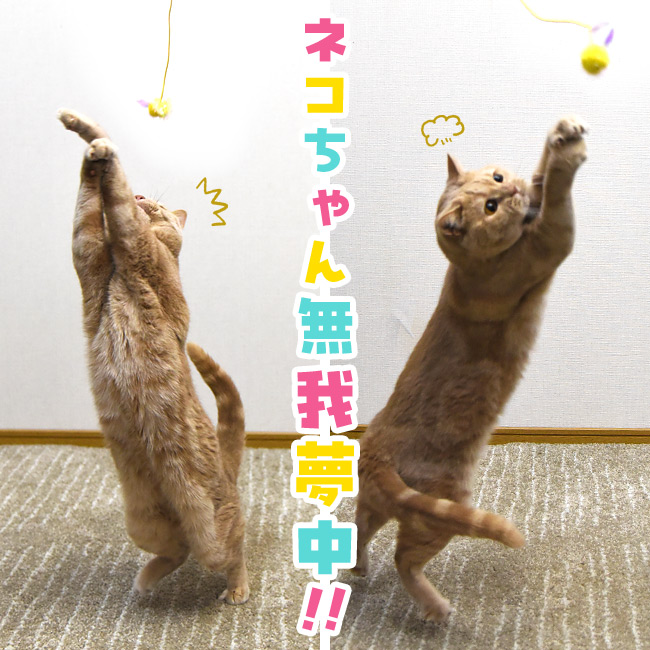 ミニじゃらし とにかく楽しいラメ棒 パタパタフェアリー (37583) ゴロ