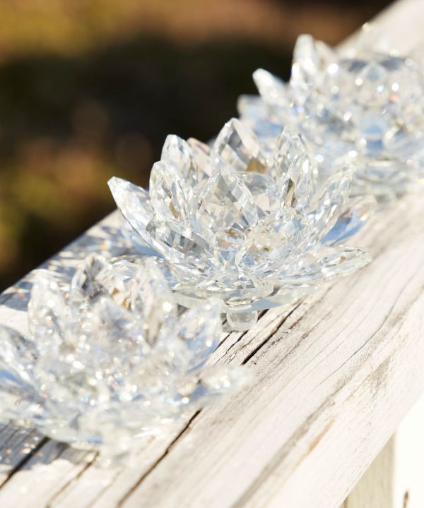 ガラスロータスクリア M(1VARIATION): 『チャイハネ』公式通販