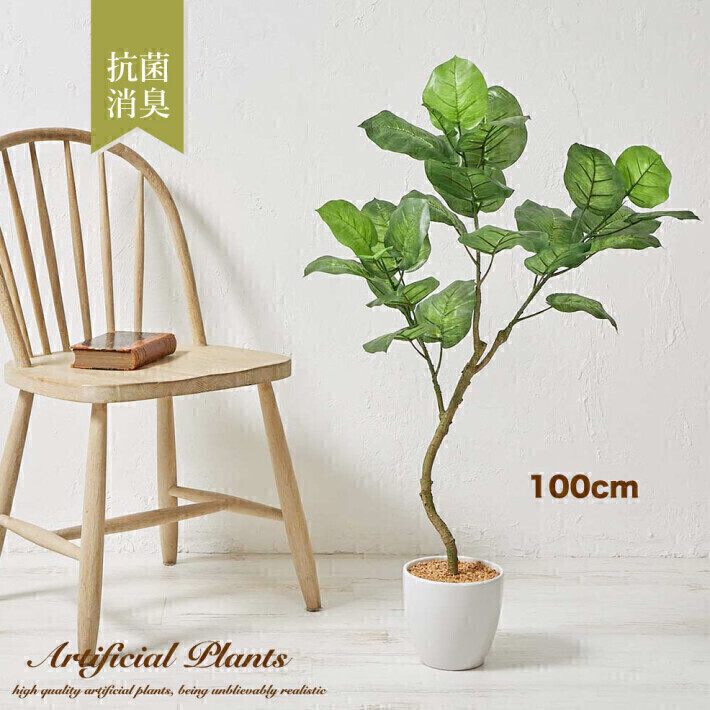 ウンベラータ】大型フェイクグリーン / 光触媒の観葉植物 100cm| 照明